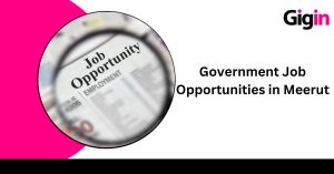 Jobs in Meerut